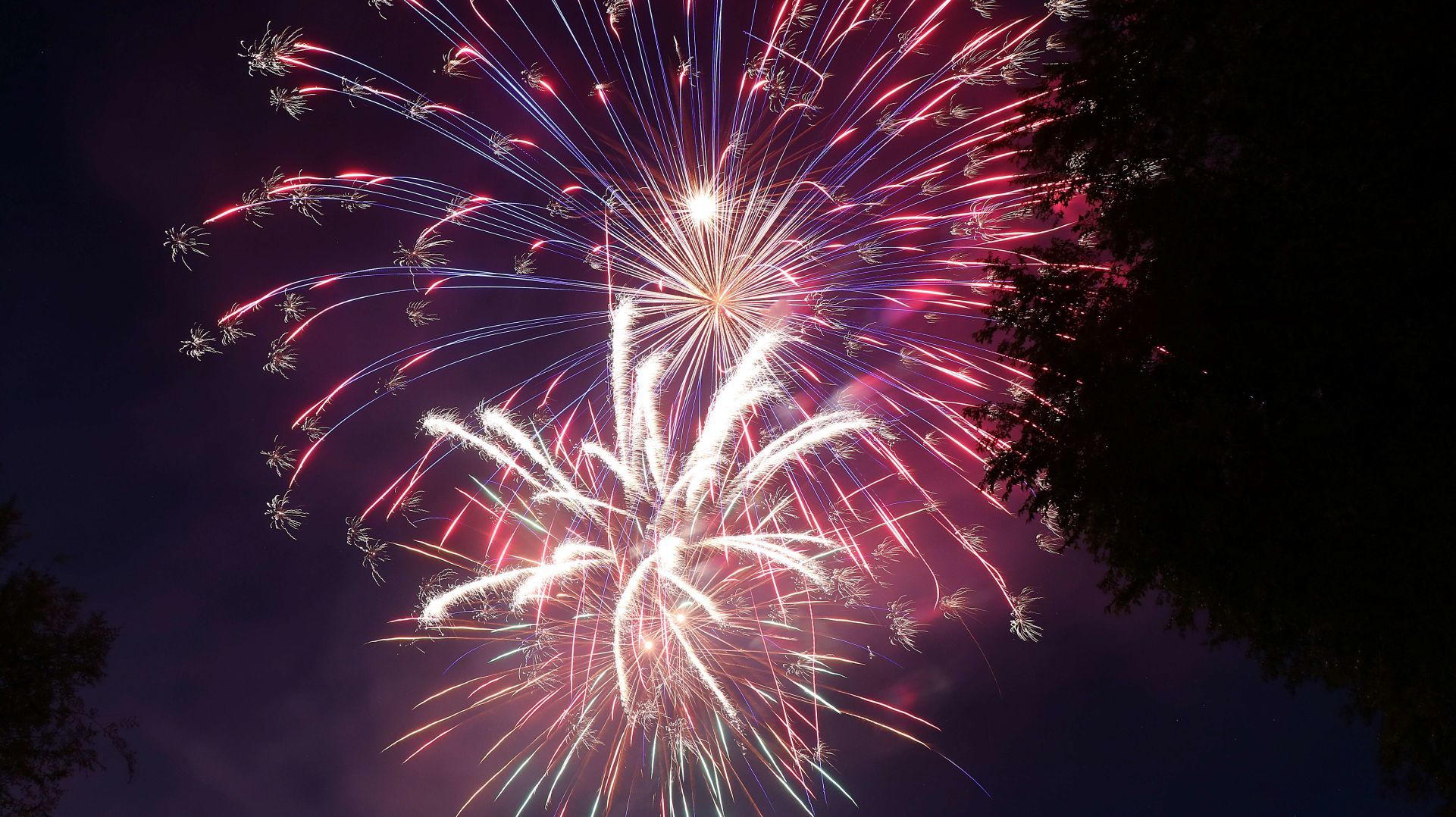 Elko Fireworks